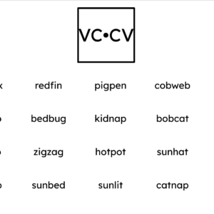 Orton-Gillingham Printable Phonics Lesson: VC•CV Compound Words
